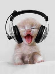 Voici le nouveau DJ